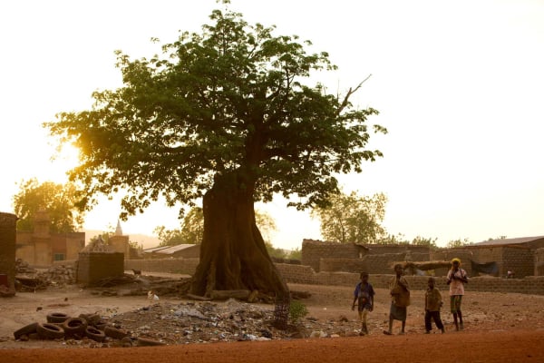 God's Great Adventure